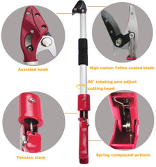 Mesoga cut and hold mechanism detail gripping stem to prevent dropped fruit
