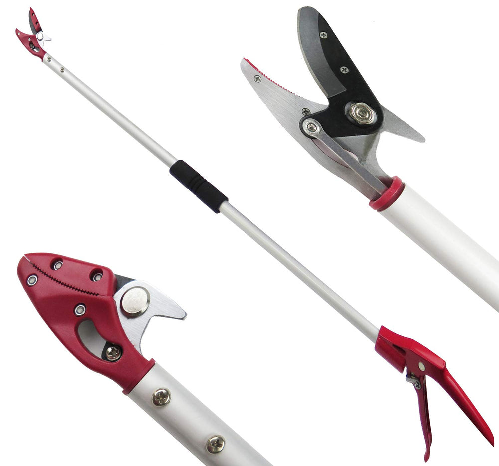 Mesoga front view of long reach pruner showing full pole and head, increases safe reach