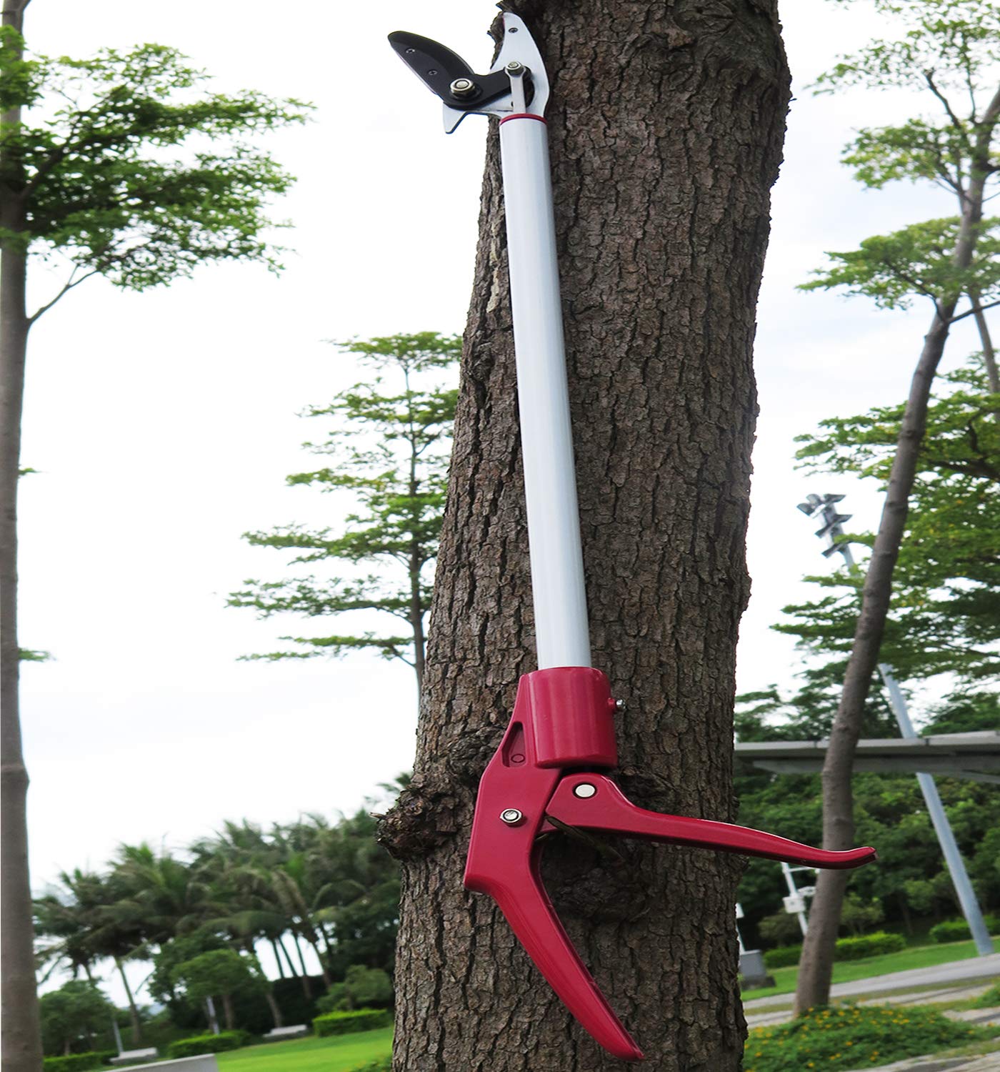 Mesoga placed in garden setting highlighting convenient safety