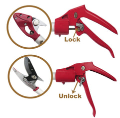 Mesoga 90-degree rotating head demonstrating angle versatility