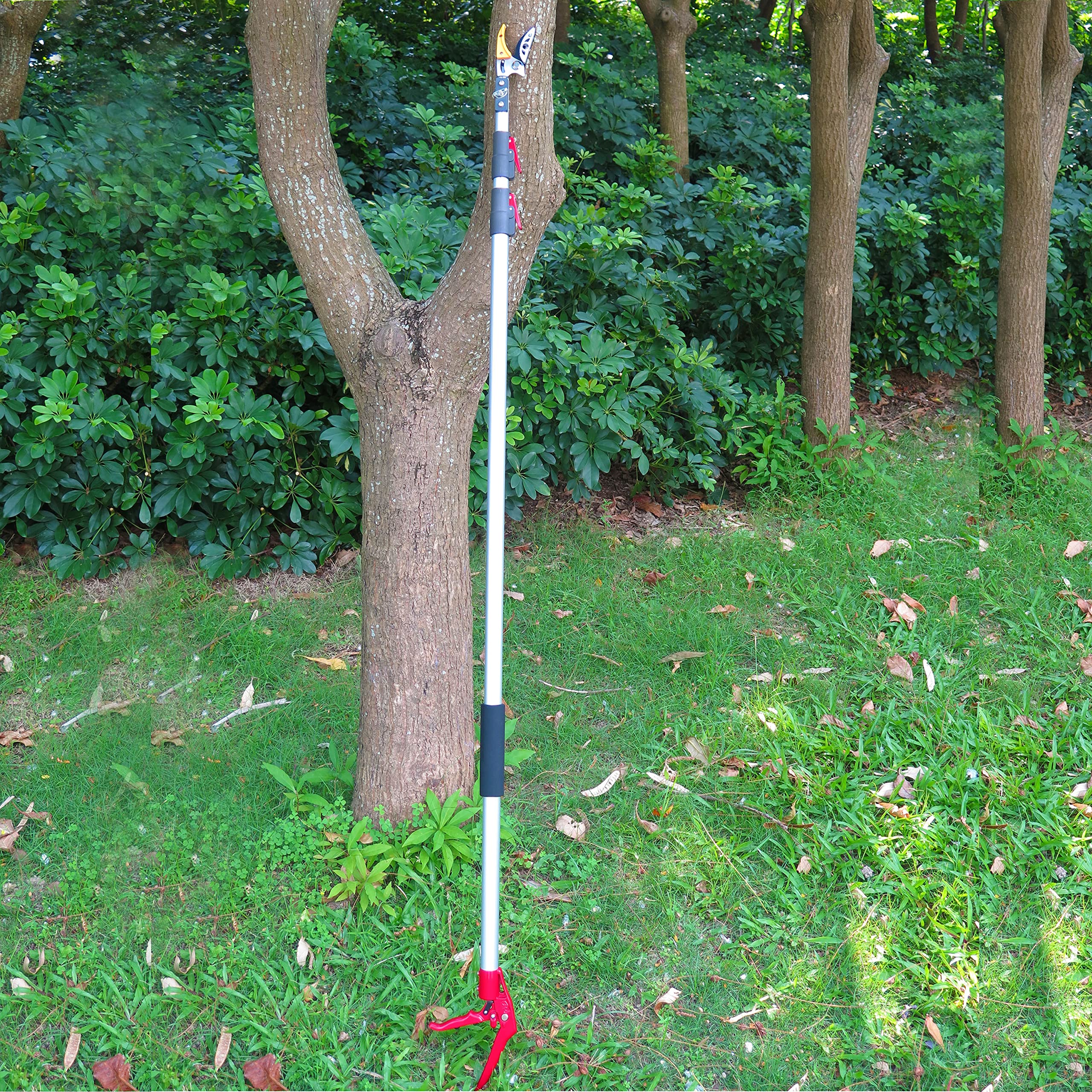 Mesoga stainless saw blade cutting a thick branch for efficient removal