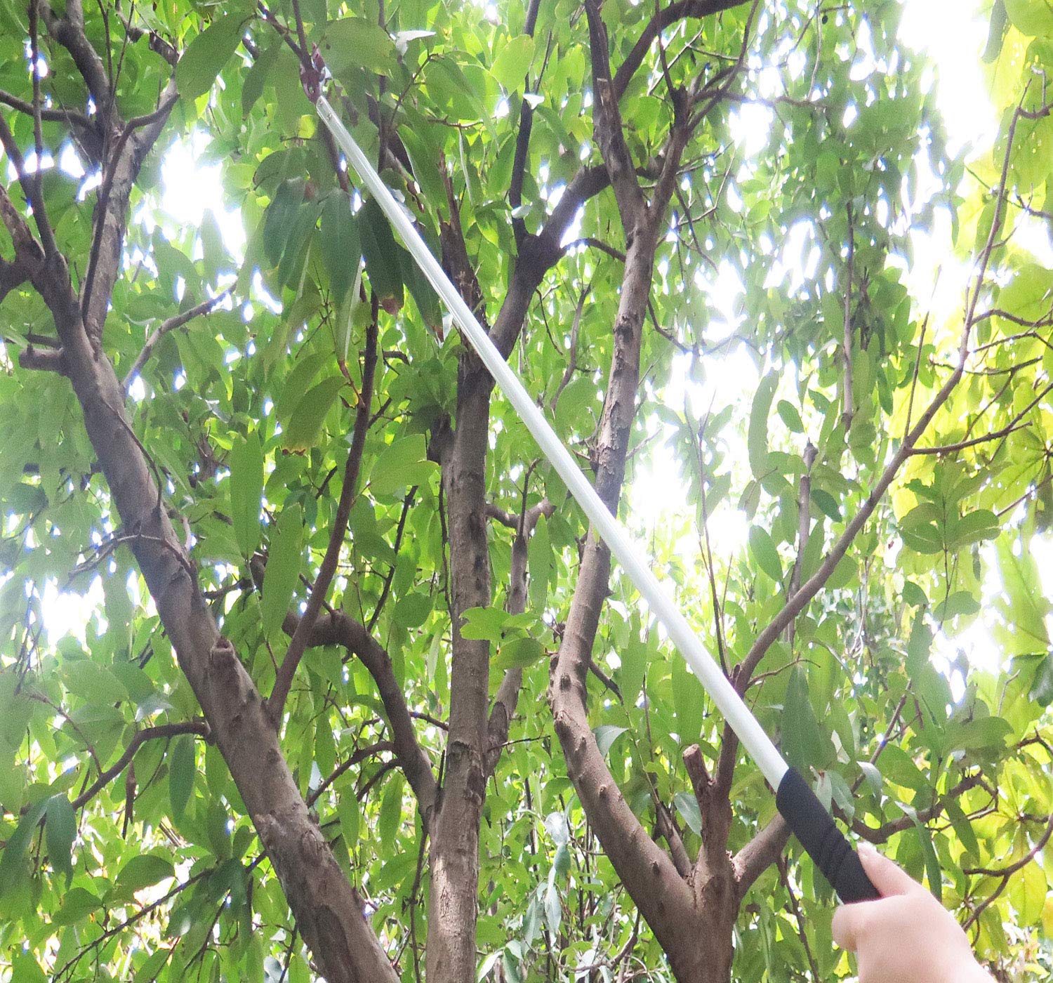 Mesoga next to a hand for scale showing lightweight 1.1 lb aluminum pole benefit