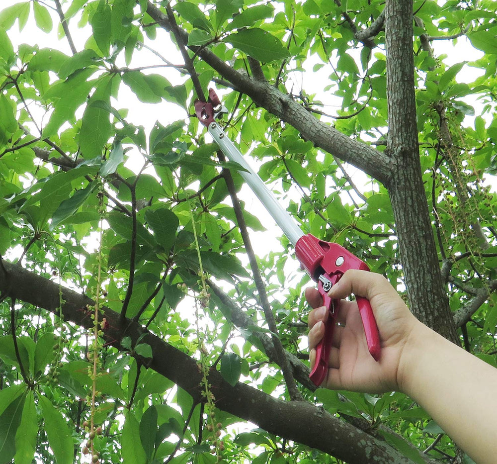Mesoga held in hand showing scale and easy one-handed control
