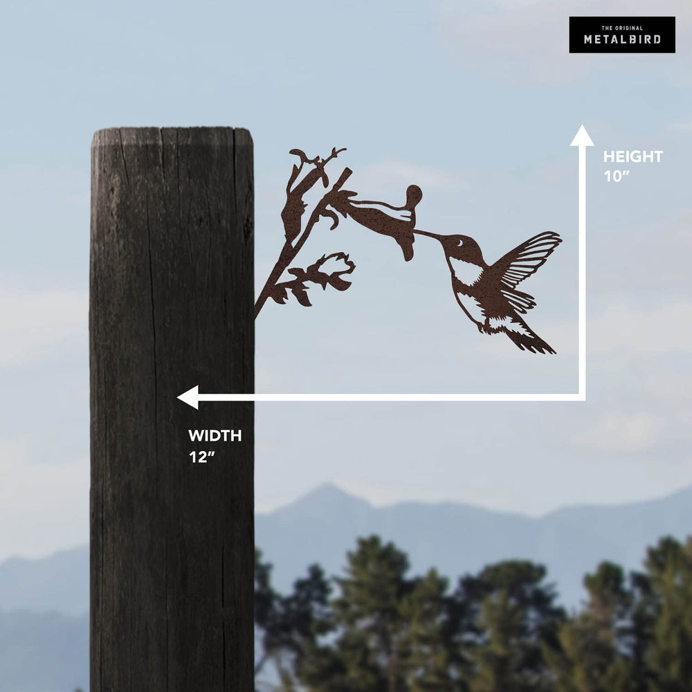METALBIRD hummingbird installed on tree adding rustic yard interest
