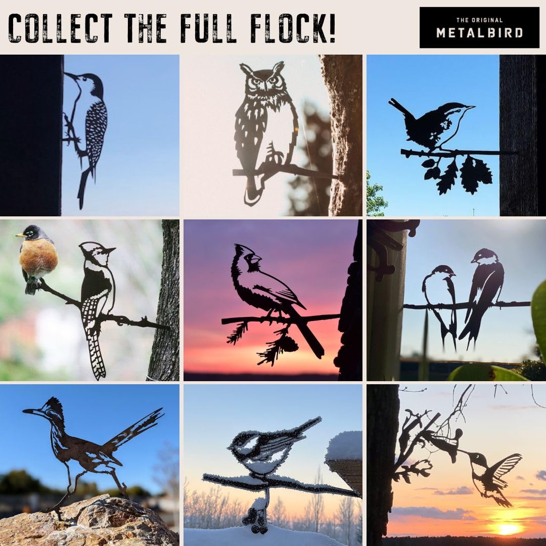 METALBIRD hummingbird side profile silhouette creating sculptural contrast