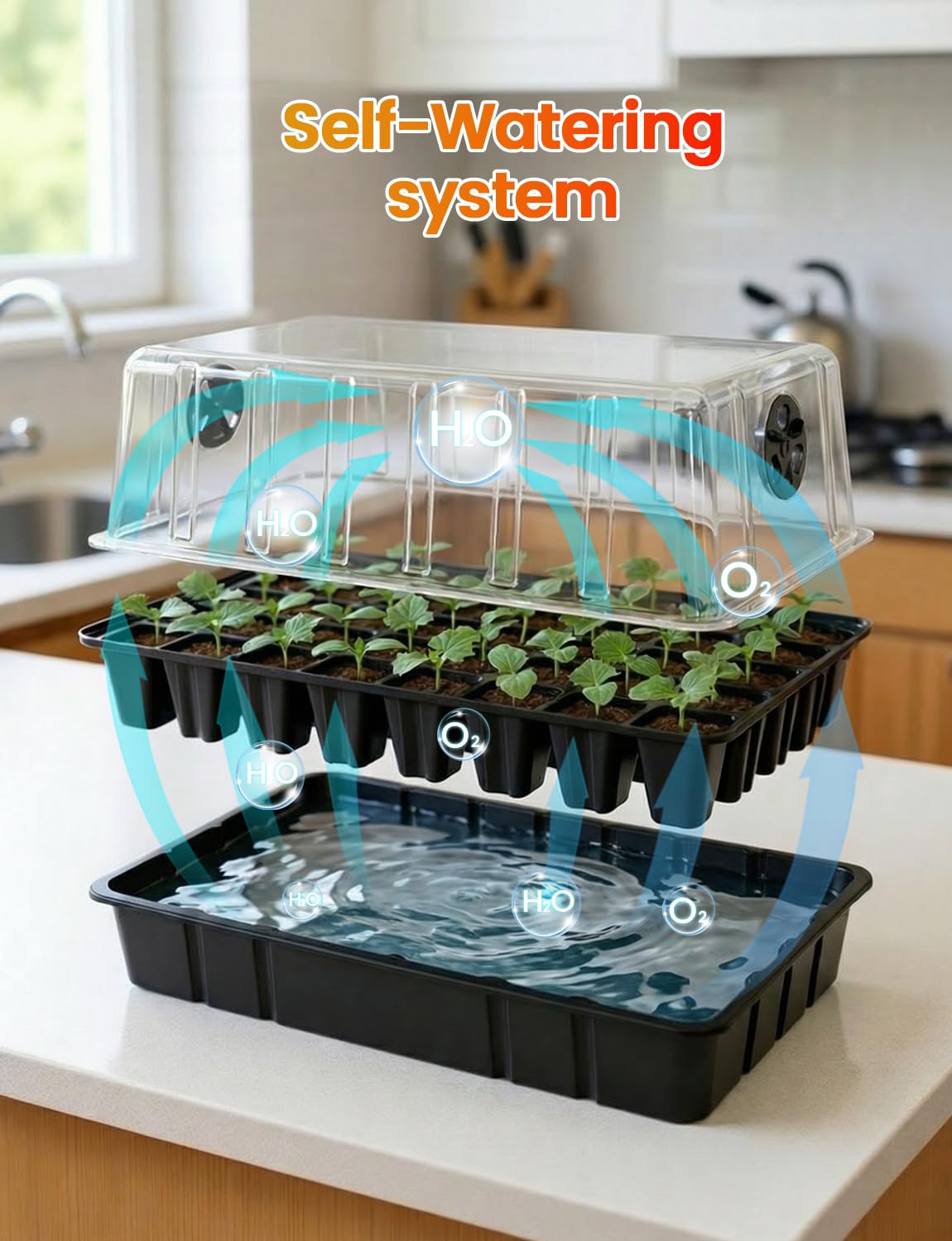 MetryGrow seedlings thriving under grow light demonstrating compact indoor gardening success