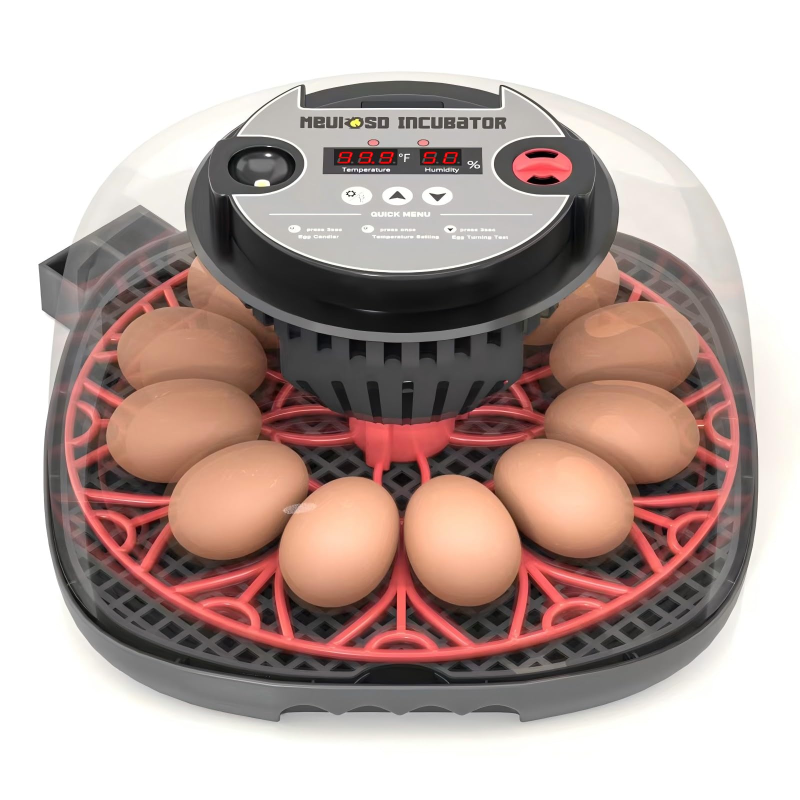 Meuiosd front view incubator showing clear dome and tray, helps easy monitoring
