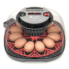 Meuiosd front view incubator showing clear dome and tray, helps easy monitoring