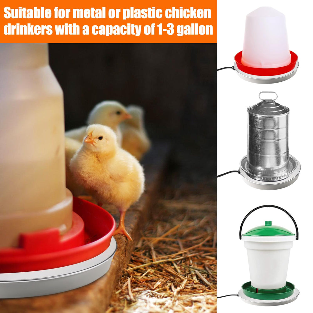 MEWTOGO in coop lifestyle image showing reliable warm water access for flock