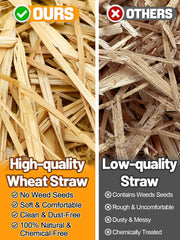 MEWTOGO close-up of straw texture illustrating soft, breathable fibers