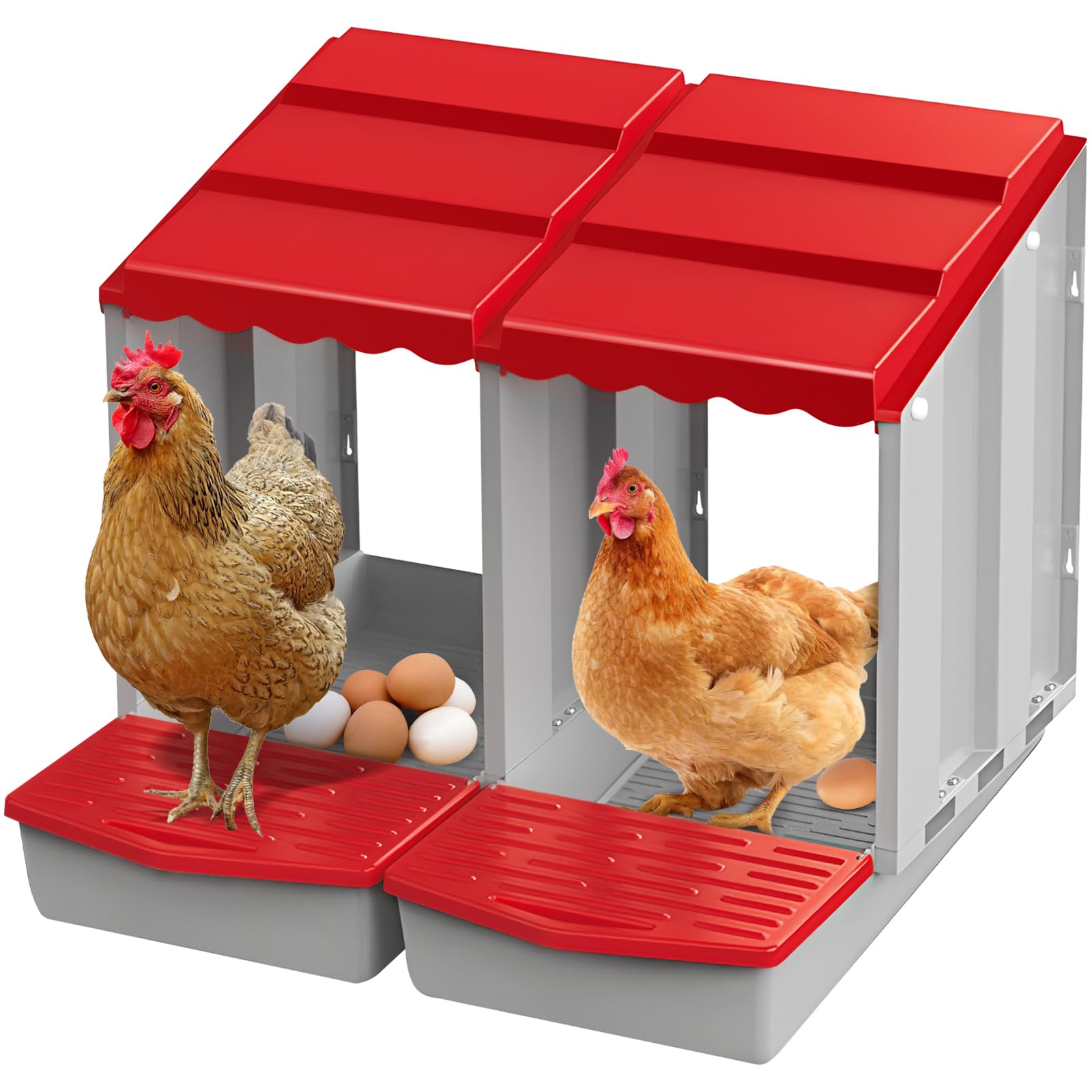 Meyoppm front view of two-hole nest box showing organized egg collection benefit