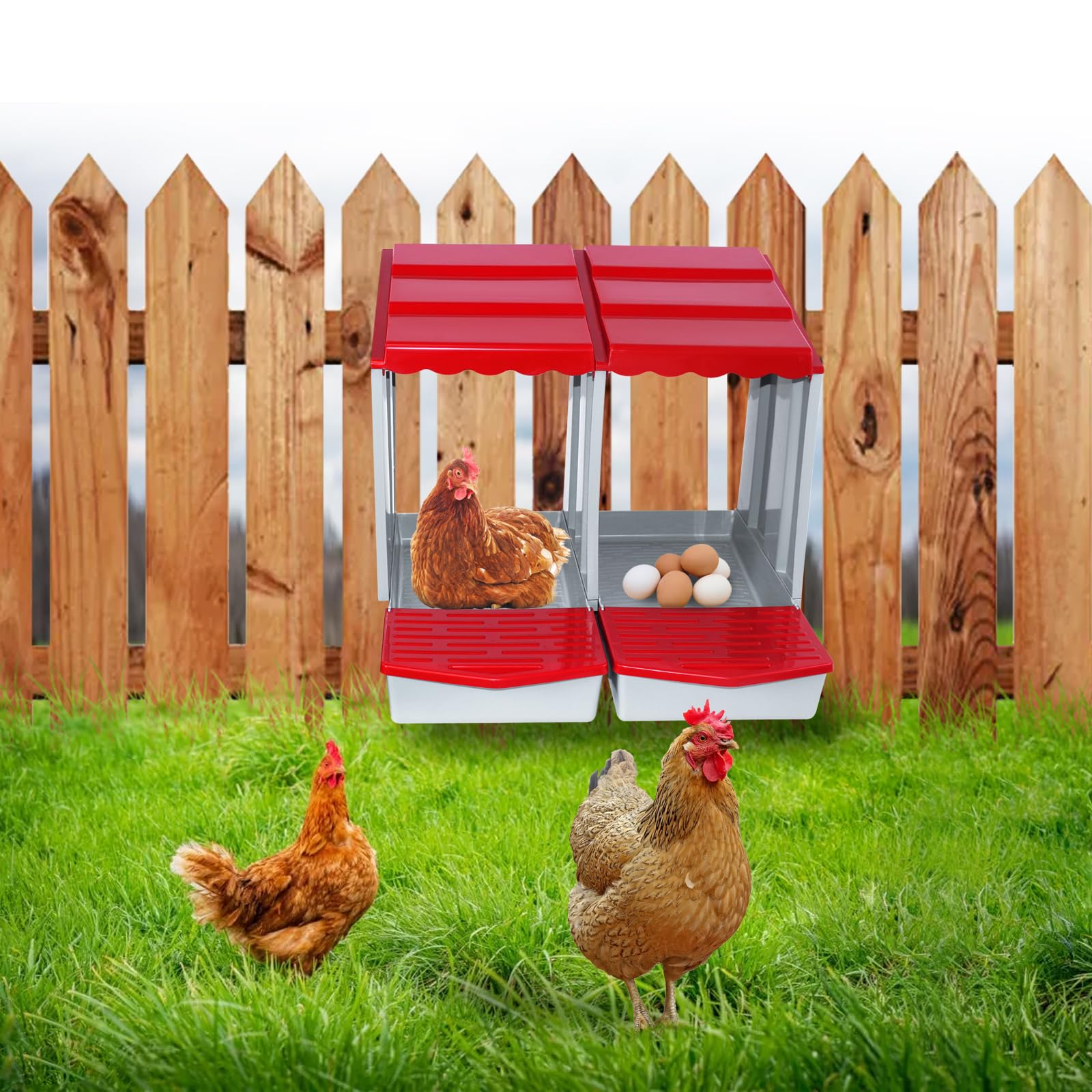 Meyoppm in a backyard coop lifestyle scene promoting organized egg management