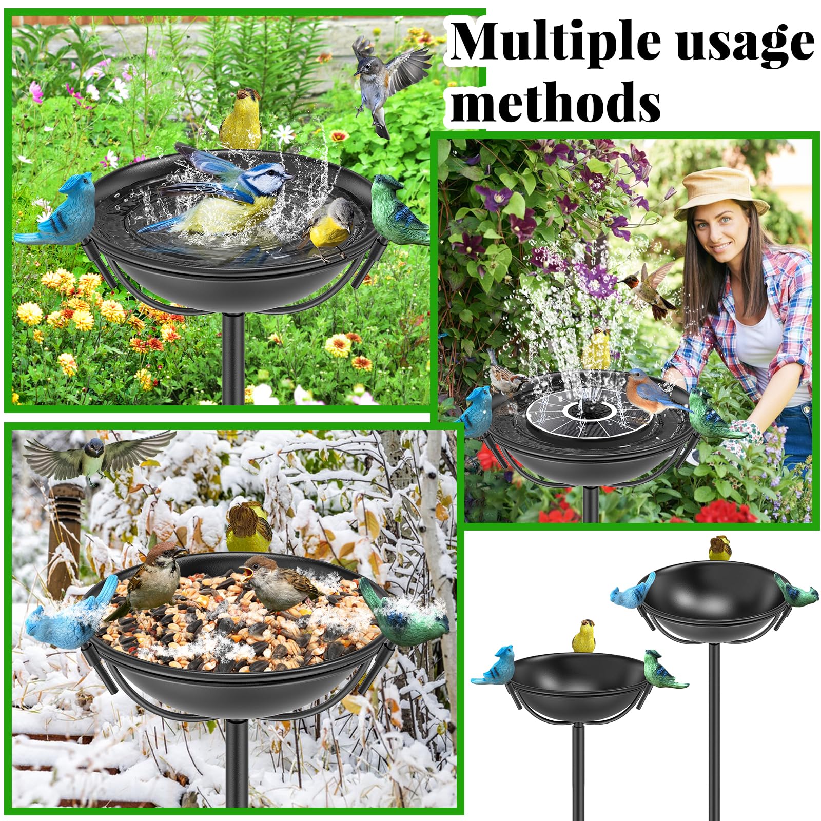 MeyRolizn bird bath placed in garden creating inviting habitat and attractive focal point