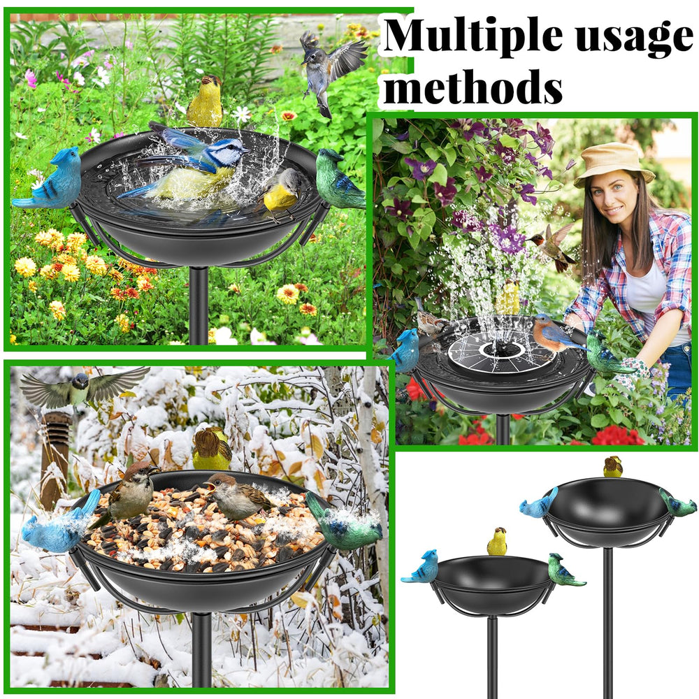 MeyRolizn bird bath placed in garden creating inviting habitat and attractive focal point