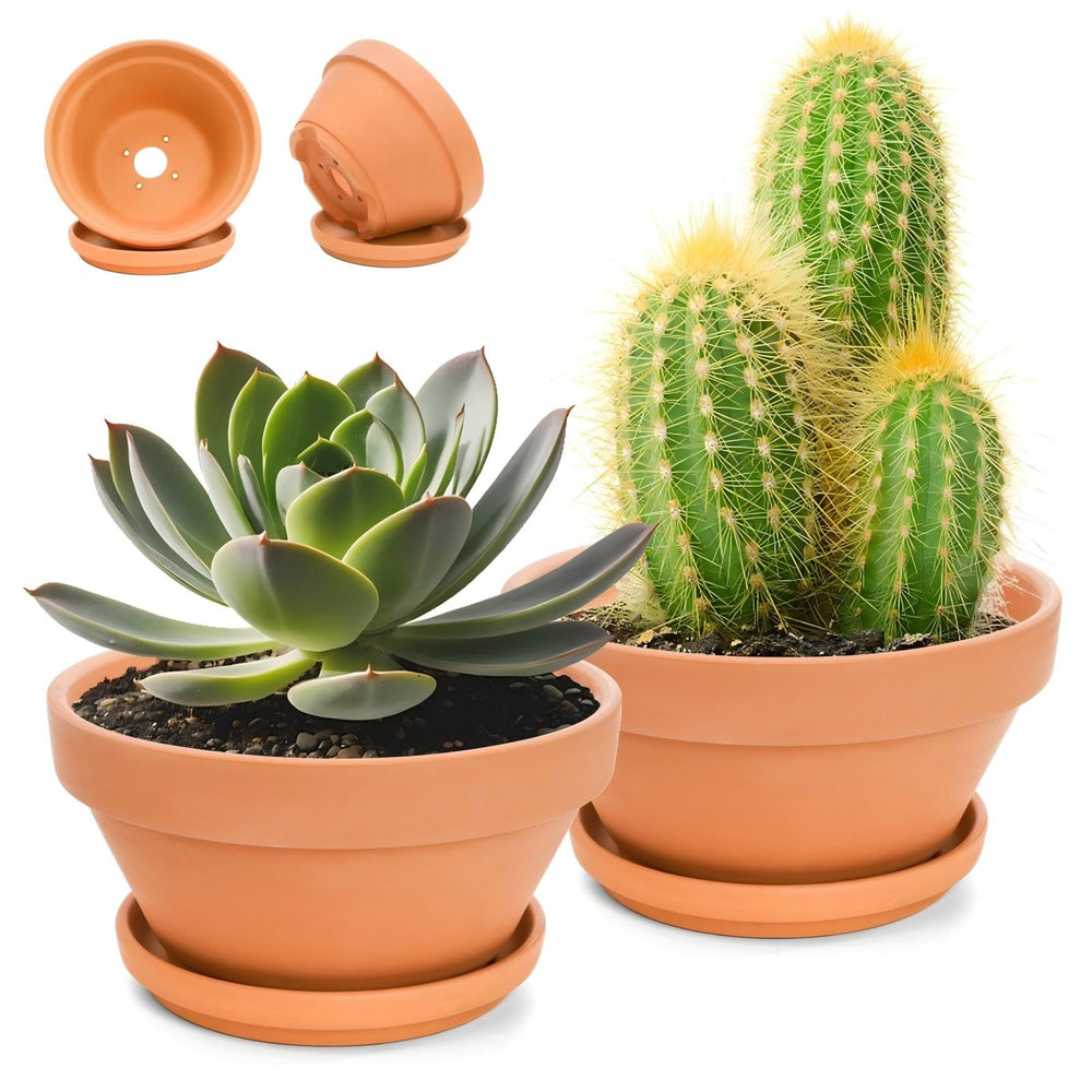 Mezchi front view showing both 8-inch pots and saucers for tidy placement