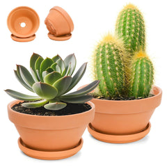 Mezchi front view showing both 8-inch pots and saucers for tidy placement