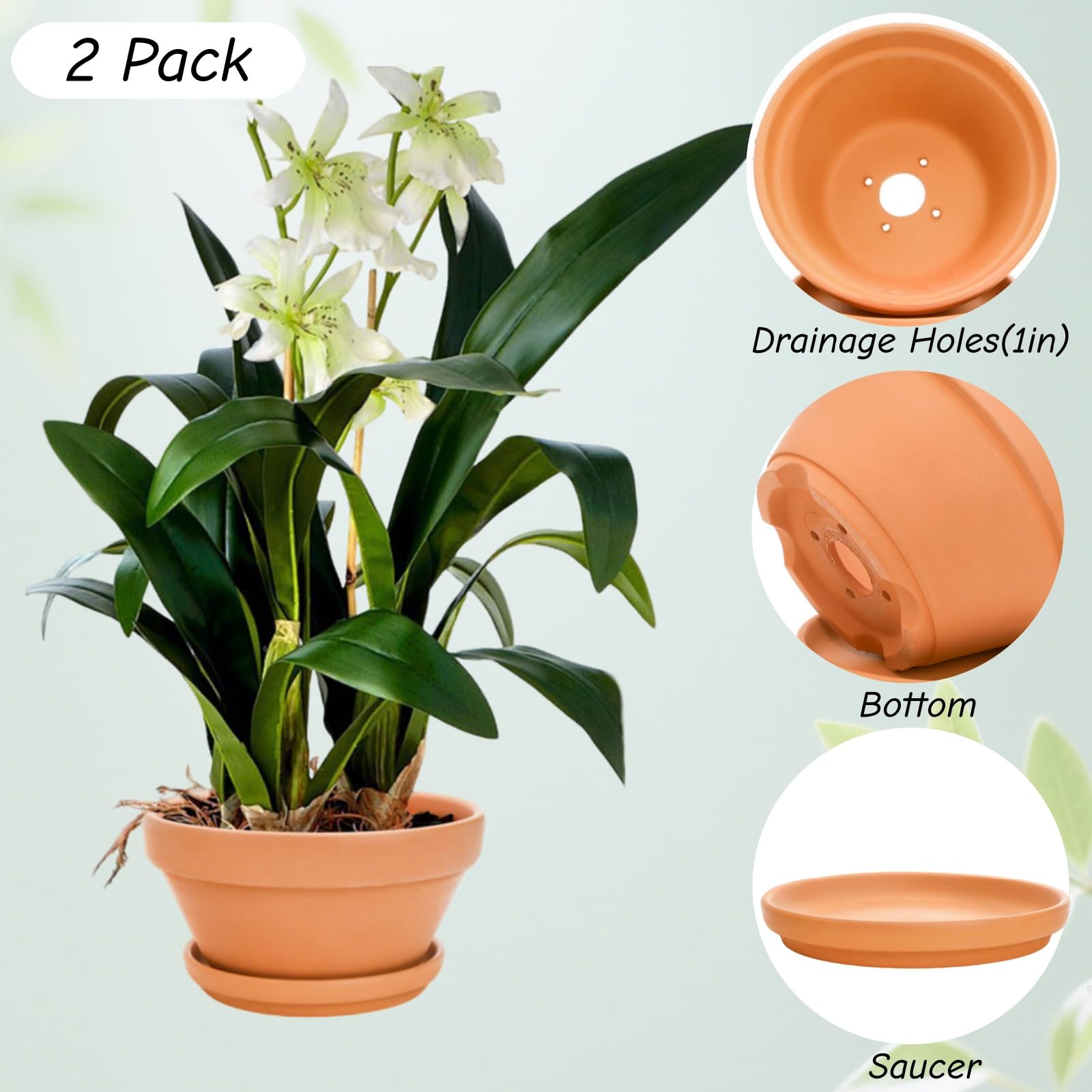 Mezchi painted pot in DIY setup showing customization potential and finish