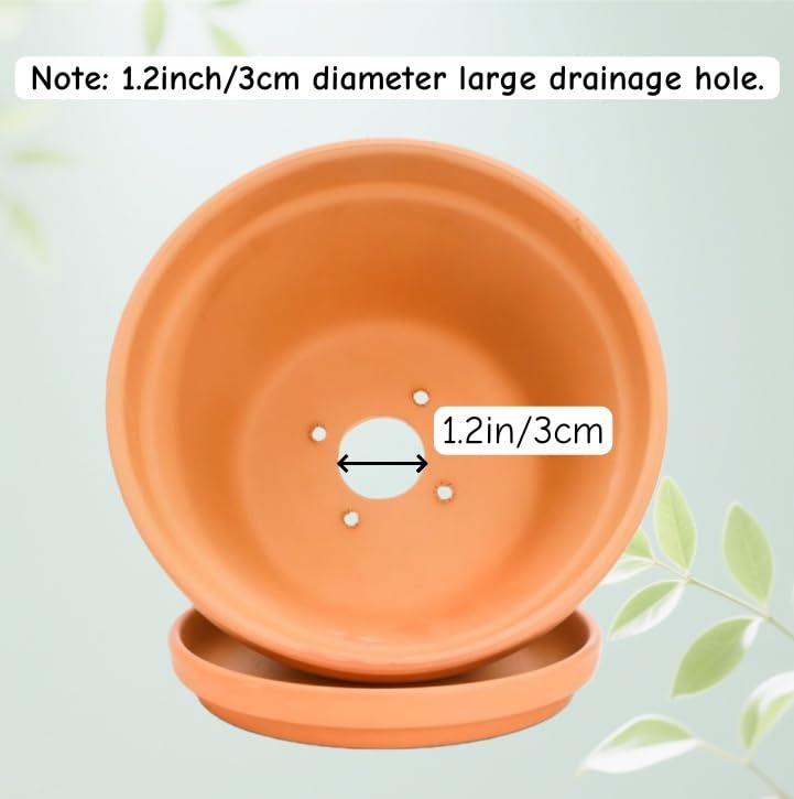 Mezchi side profile showing saucer fit and stable rim for surface protection