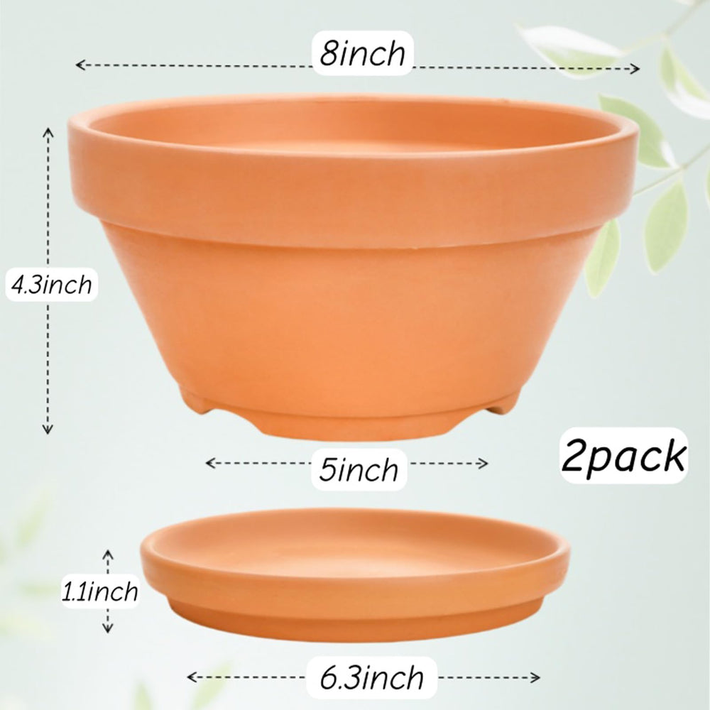 Mezchi top-down view with succulents demonstrating shallow planter layout