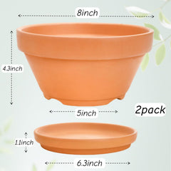 Mezchi top-down view with succulents demonstrating shallow planter layout