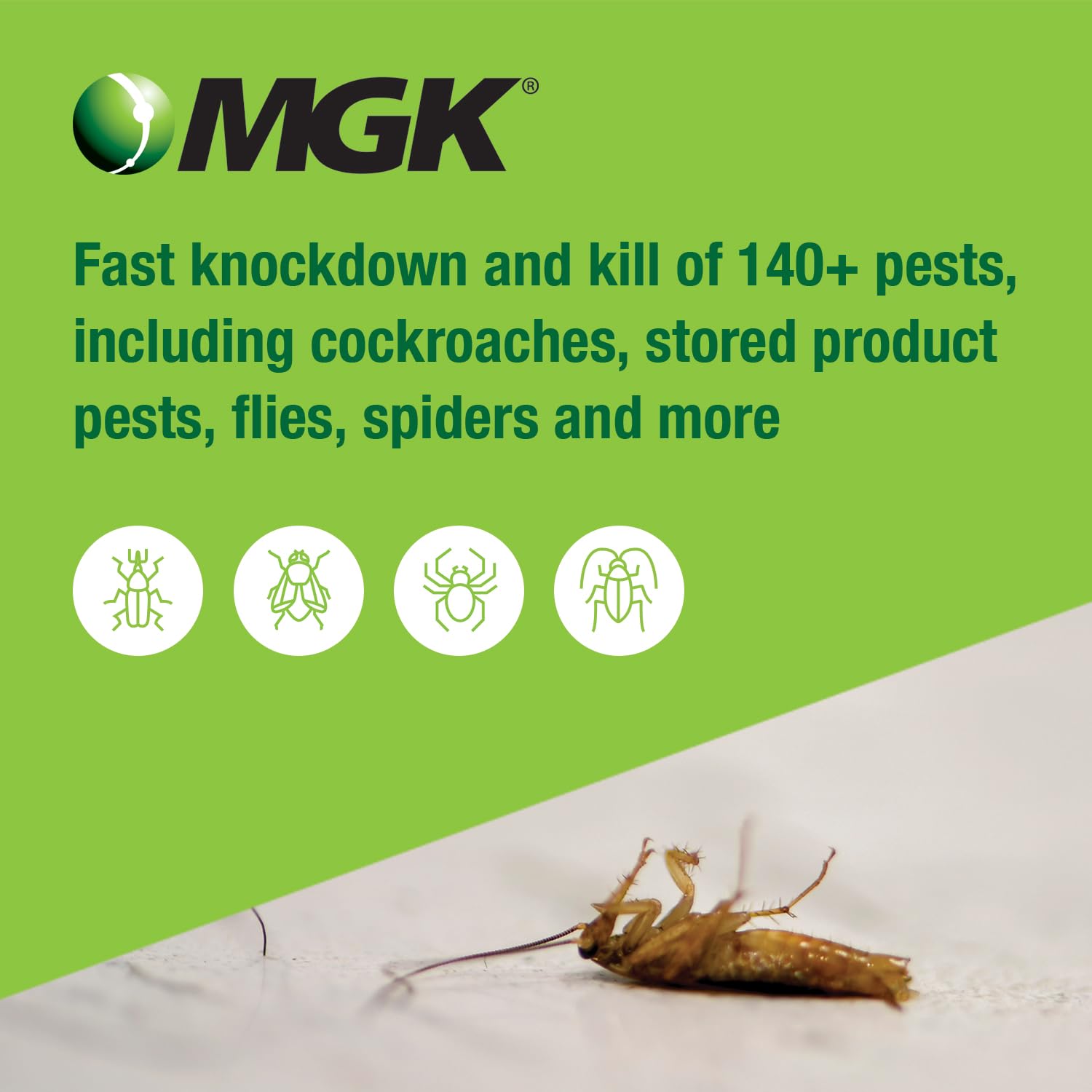 MGK EverGreen being applied to garden plants to reduce pests and protect foliage