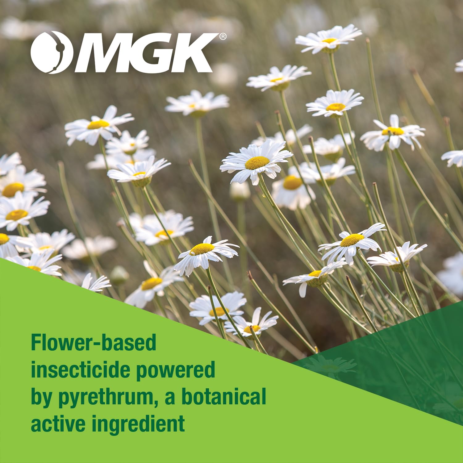 MGK EverGreen mixing demonstration with measuring cup for accurate dilution and safety