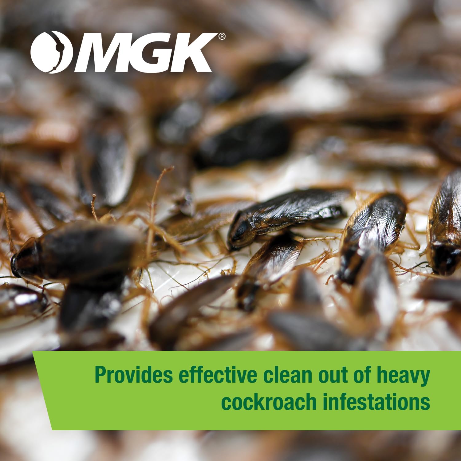 MGK Vendetta Nitro used in commercial kitchen for discreet pest management