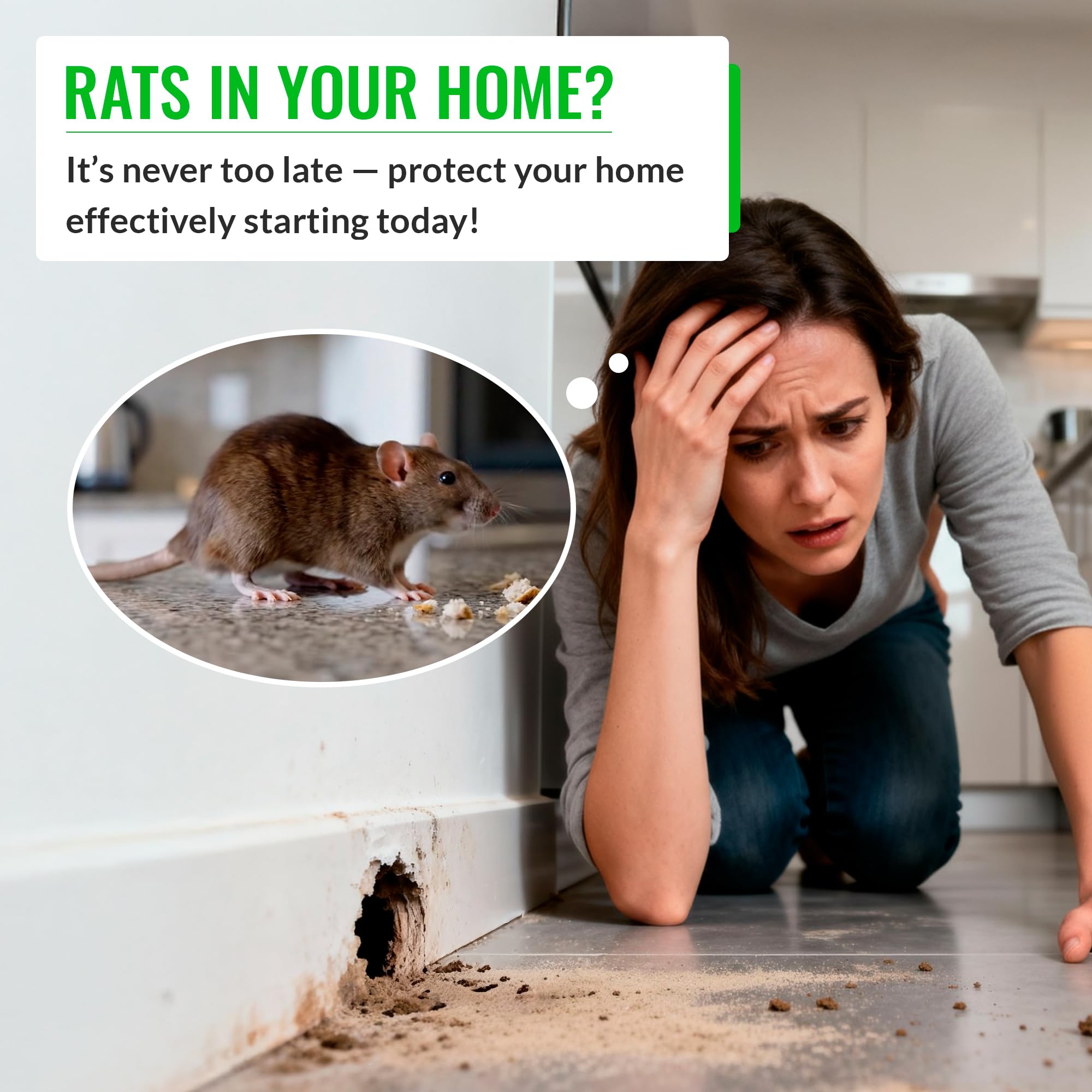 Mice&Co open interior showing metal bait rod for stable, mess-free bait mounting benefit