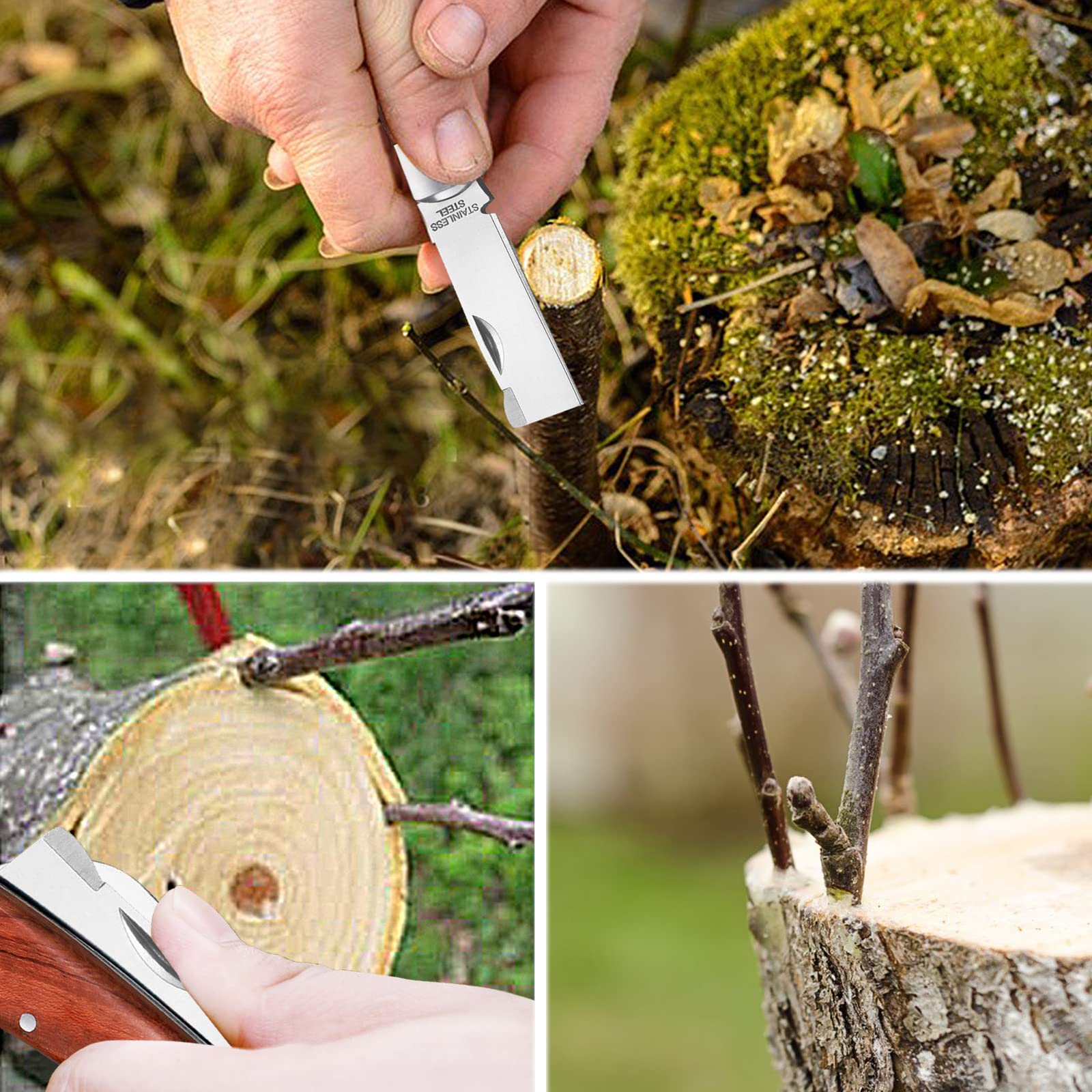 MIDOUWEST kit in an orchard setting used by gardener to complete a grafting task