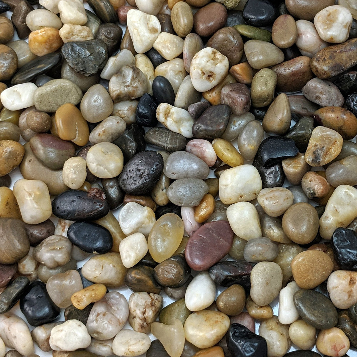 Midwest Hearth front of bag showing product and weight for clear identification