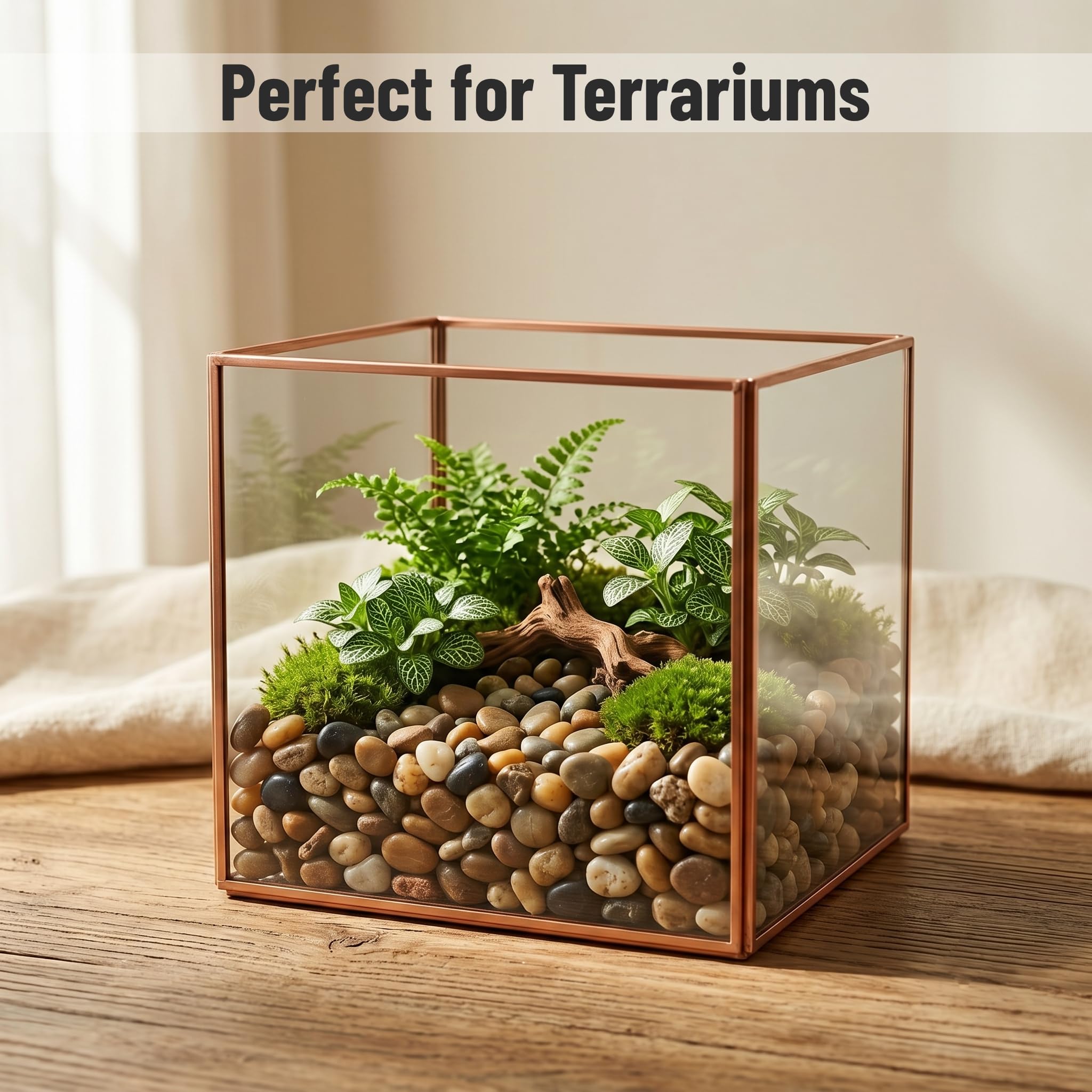 Midwest Hearth pebbles topping a succulent pot providing tidy decorative cover