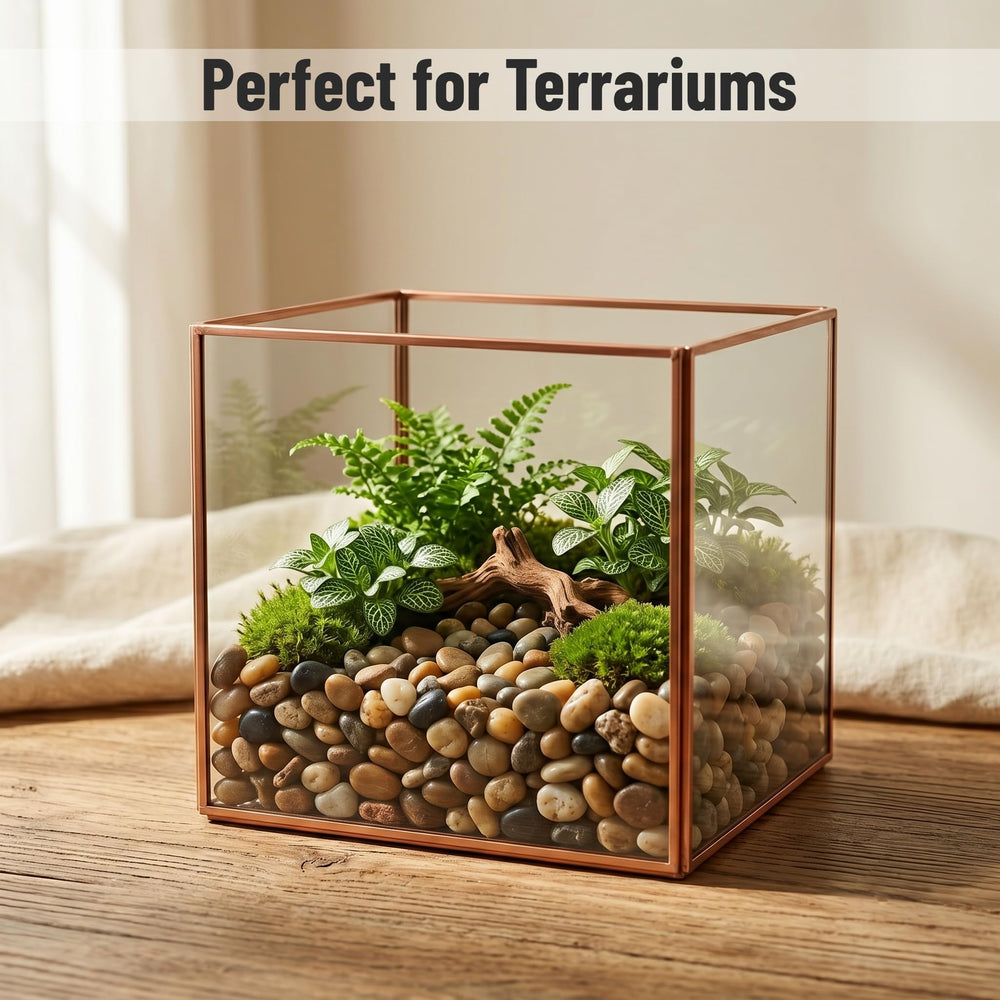 Midwest Hearth pebbles topping a succulent pot providing tidy decorative cover