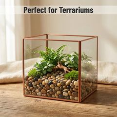 Midwest Hearth pebbles topping a succulent pot providing tidy decorative cover