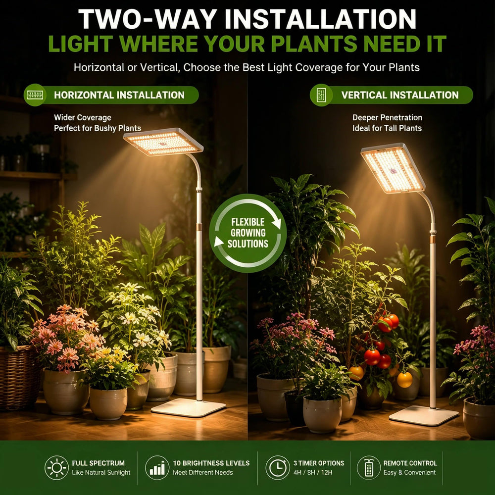 MIEEMCLUX floor lamp beside tall houseplant showing elevated coverage benefit