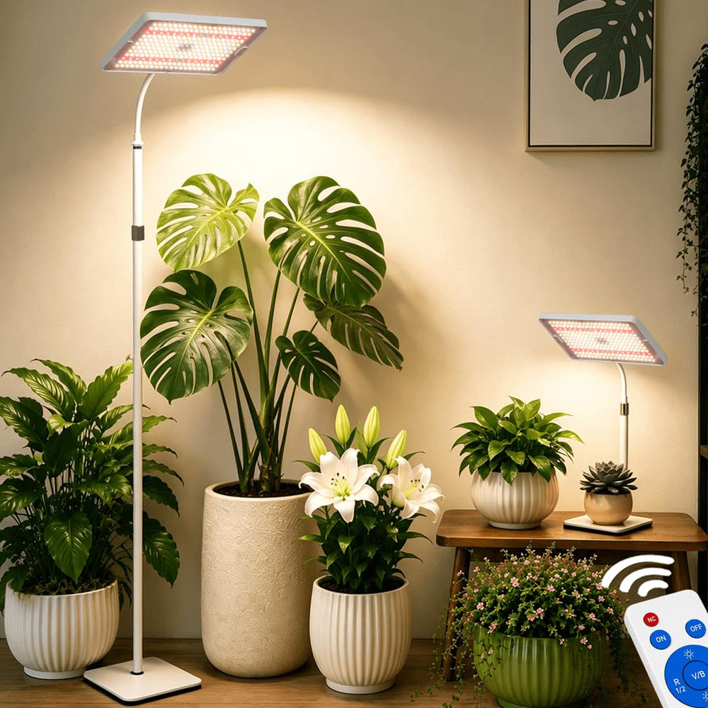 MIEEMCLUX front view on floor stand showing stable base and modern design benefit lighting versatility