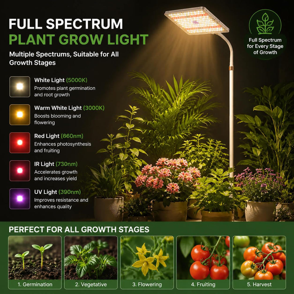MIEEMCLUX on tabletop with succulents showing compact fit and targeted light benefit