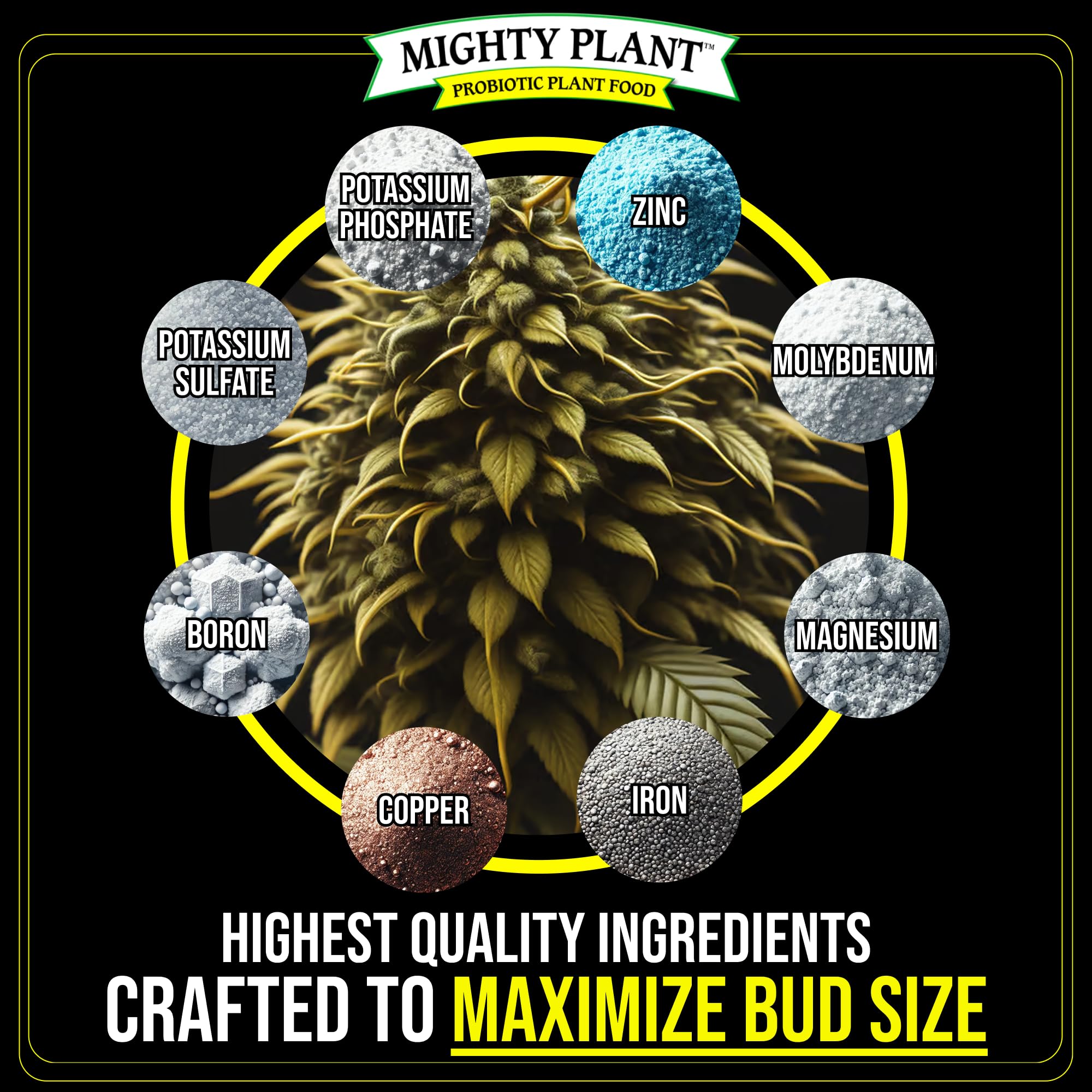 Mighty Plant being applied to flowering plant promoting denser buds
