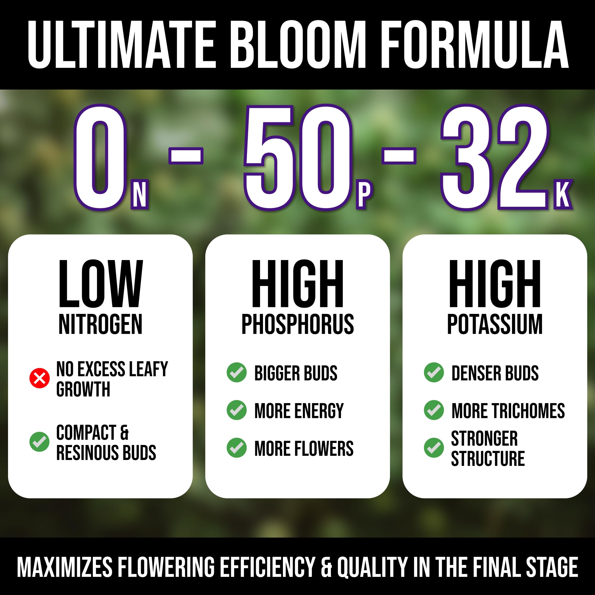 Mighty Plant dissolved solution in glass jar demonstrating quick nutrient uptake