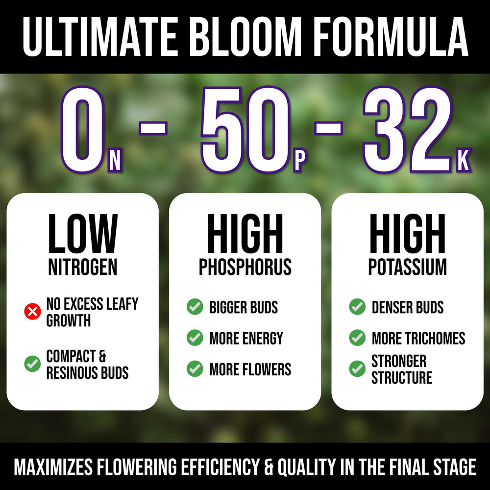 Mighty Plant dissolved solution in glass jar demonstrating quick nutrient uptake