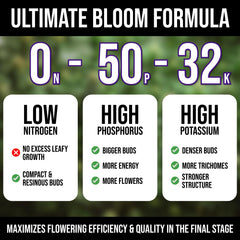 Mighty Plant dissolved solution in glass jar demonstrating quick nutrient uptake