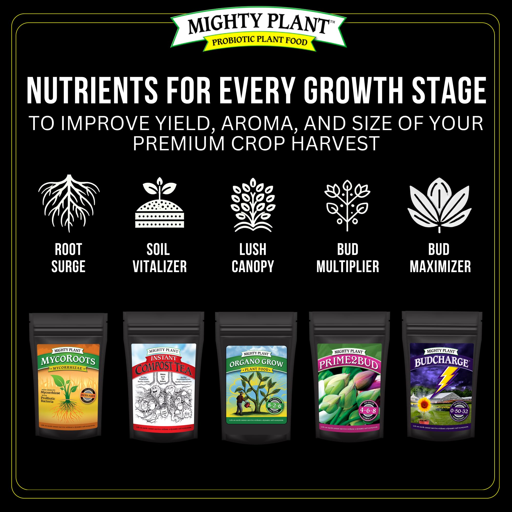 Mighty Plant in greenhouse with abundant blooms illustrating heavier harvests