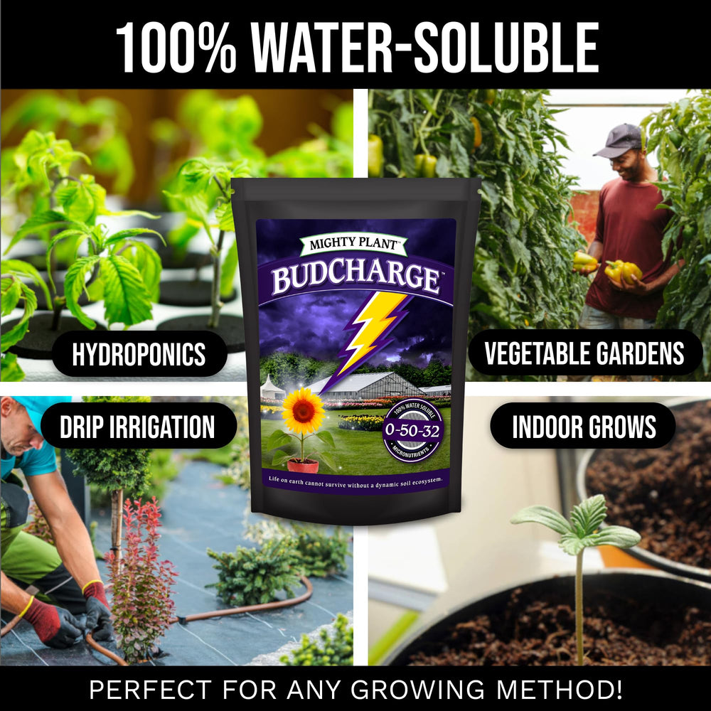 Mighty Plant label and nutrition panel highlighting PK formula benefits