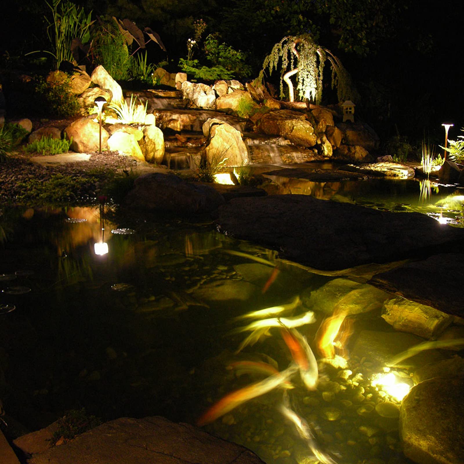 Mii-PWR night garden scene with lights around fountain creating ambient landscape lighting