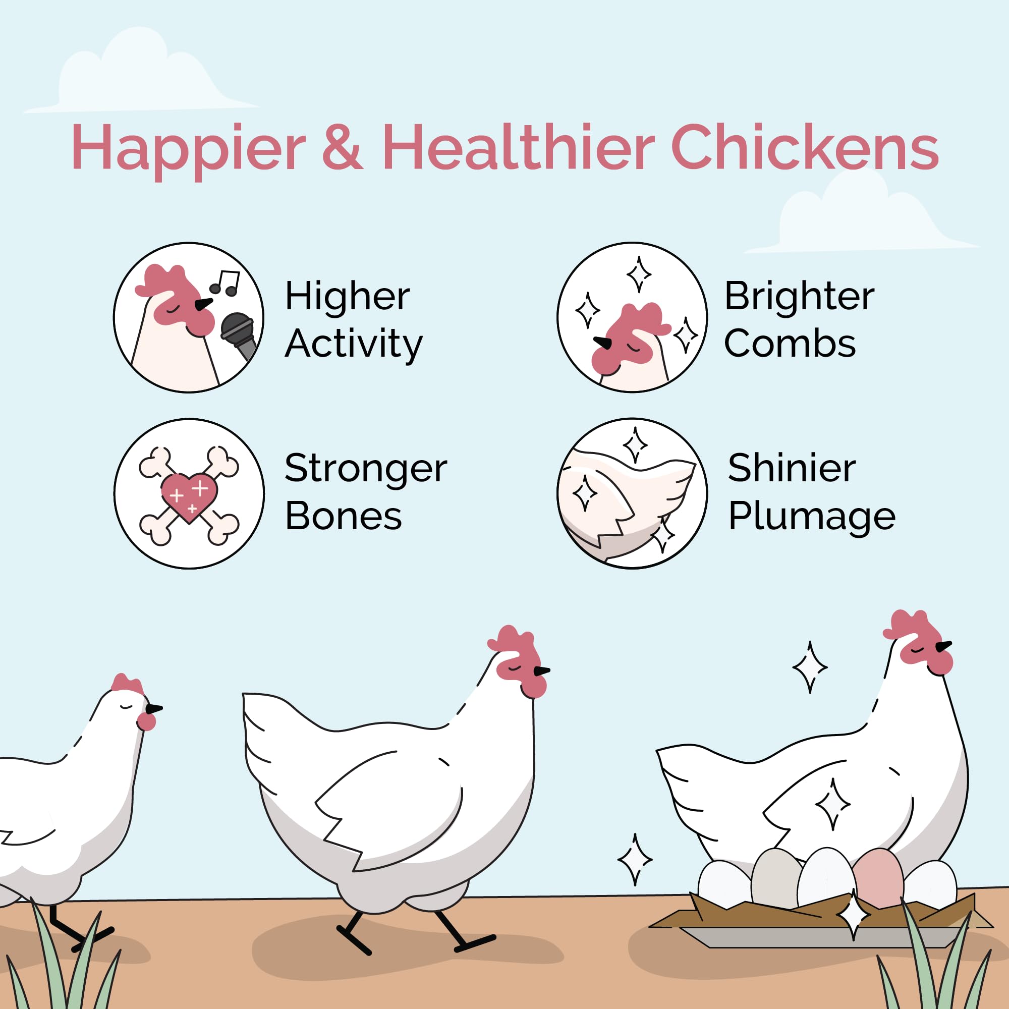 Mile Four grit in shallow dish beside feeder, keeps chicks self-regulating