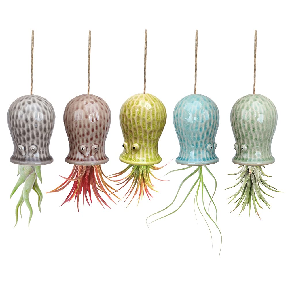 Mimeela octopus front view showing colorful ceramic holder and hanging string, charming decor