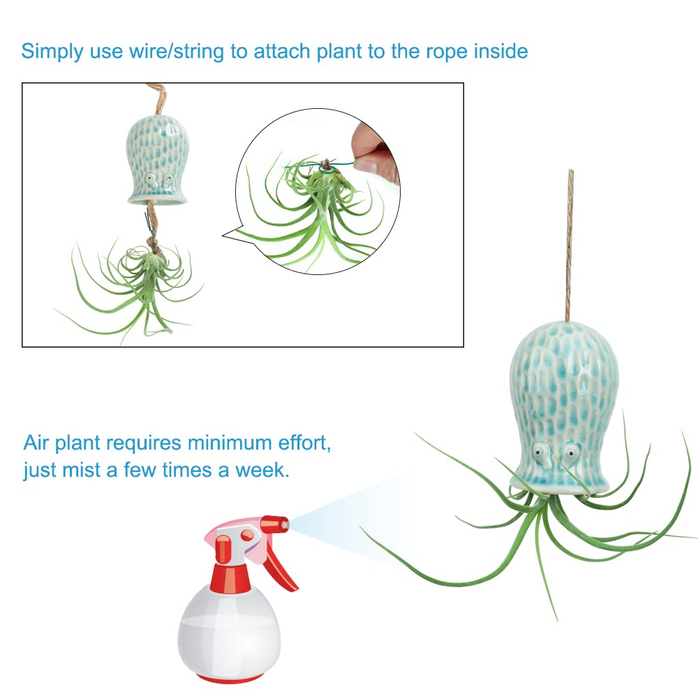 Mimeela octopus five-color group hung together as cheerful wall display, brightens room