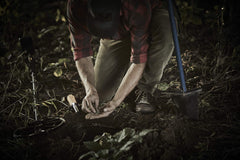 MINELAB PRO-FIND 15 close-up of probe tip highlighting precise target detection