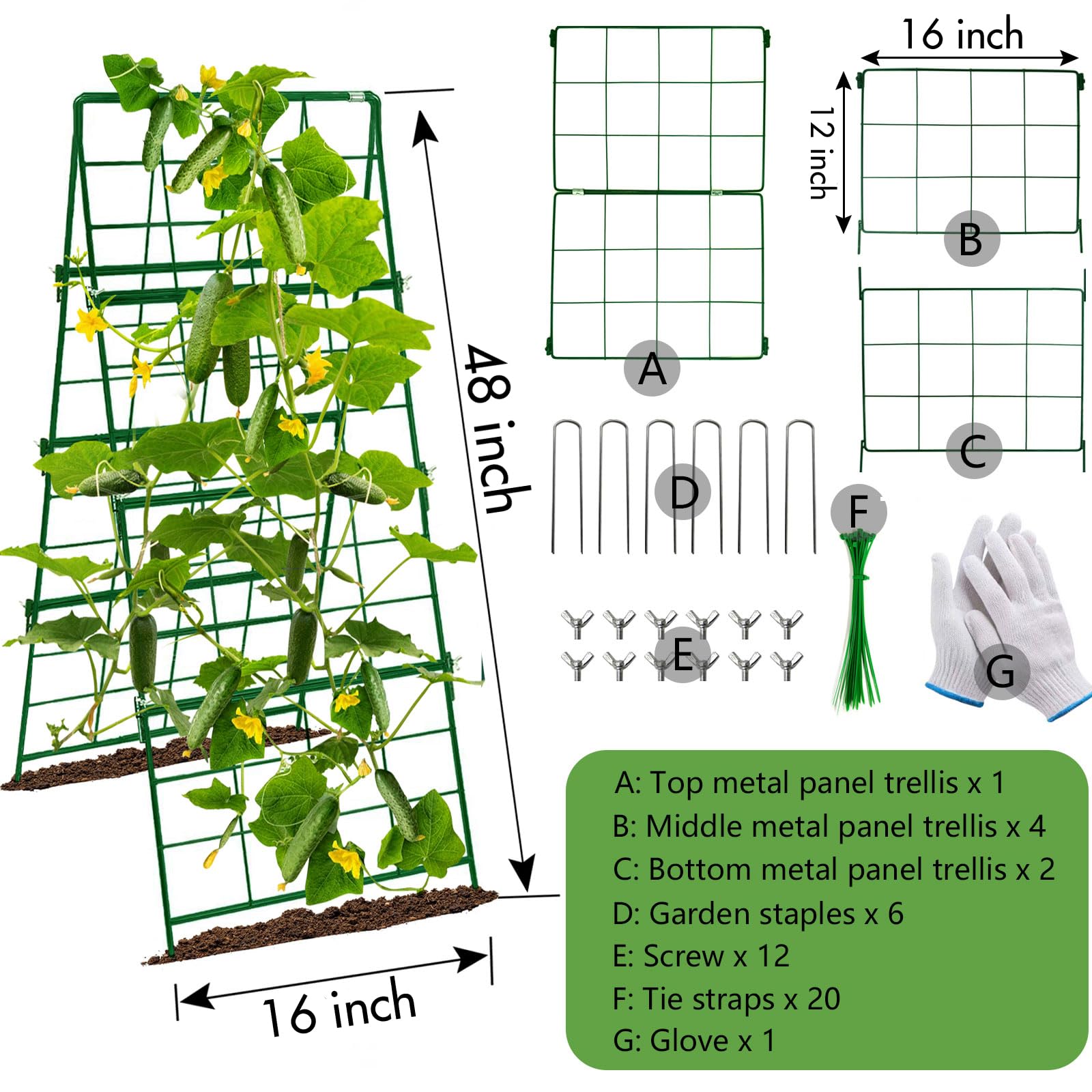 MINGRI trellis in raised bed with cucumbers showing improved vertical fruit support