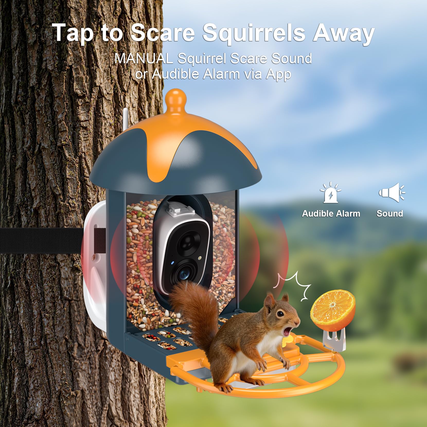 Minikey small hummingbird nectar feeder attached attracting hummingbirds benefit: supports nectar feeders