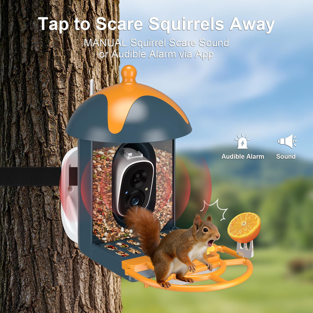 Minikey small hummingbird nectar feeder attached attracting hummingbirds benefit: supports nectar feeders